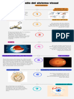 Infografía de Línea de Tiempo Timeline Hitos y Progreso de Un Proyecto o Empresa Multicolor Moderno