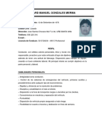 CV - Richard Manuel Gonzales Merma