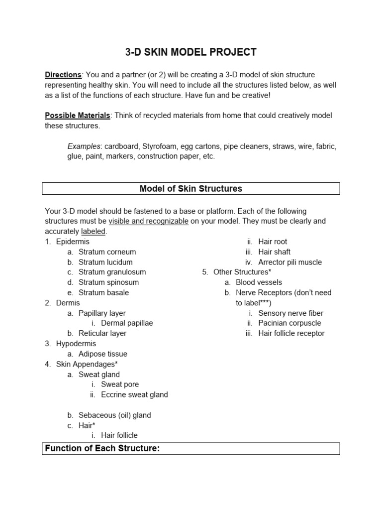 3D Skin Model Project Guidelines | PDF | Skin | Anatomy