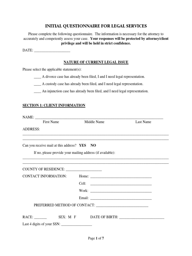 initial-questionnaire-family-law-case-in-progress-pdf-child