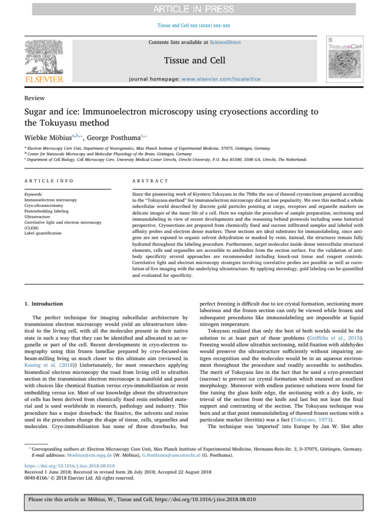 Sugar and Ice Immunoelectron Microscopy Using Cryosections According