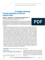 Plant Detection and Counting Enhancing Precision Agriculture in UAV and General Scenes