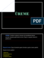 4 Üreme