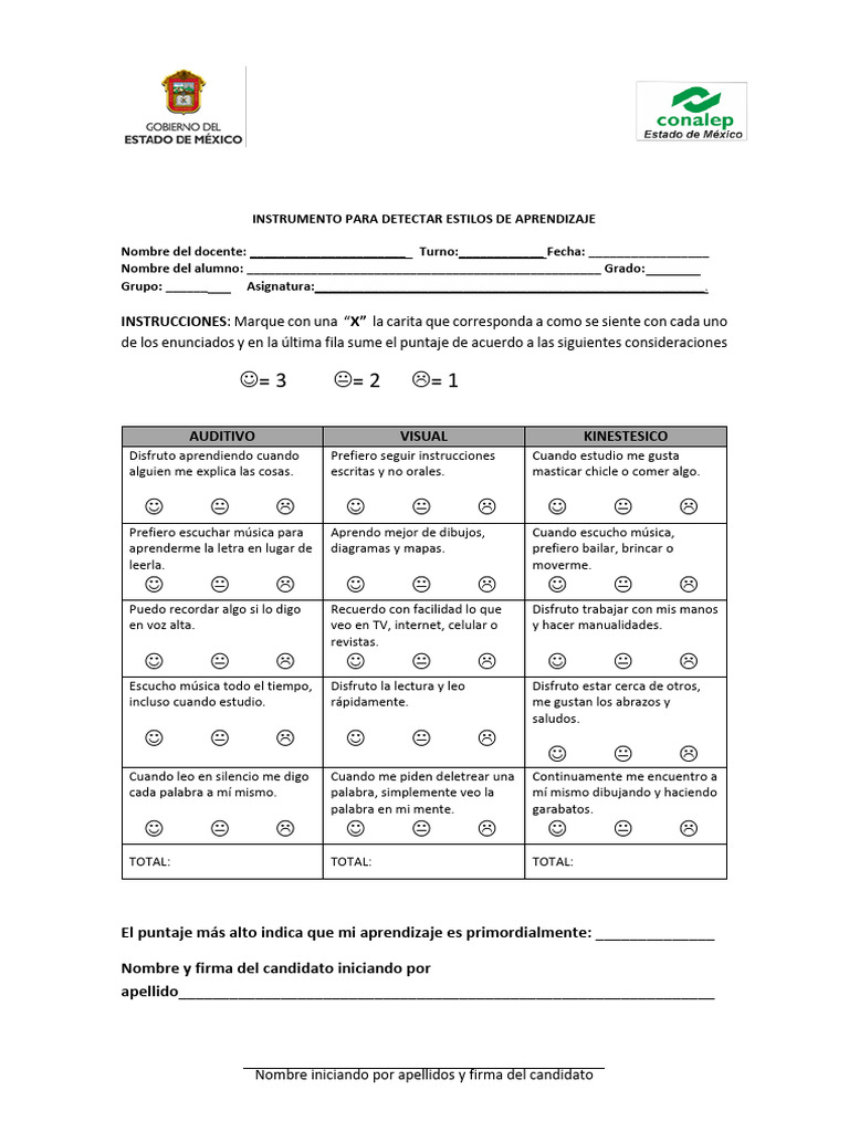 Test de Estilos de Aprendizaje Infantil | PDF | Modificación de ...