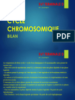 Cycle Chromosomique