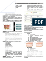 Gestión Del Cuidado en Niños y Adolescentes Con Problemas de Piel
