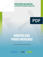 Direitos - Povos - Indigenas Rel Final ORPU
