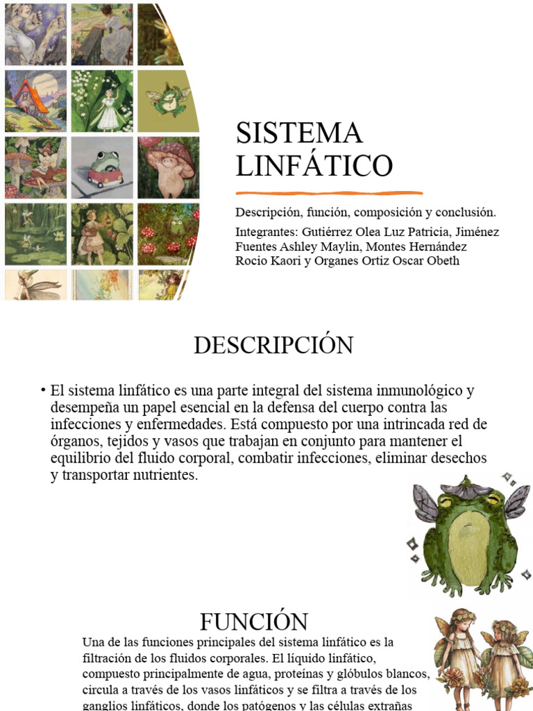 Sistema Linfático Pdf Sistema Linfático Sistema Inmune