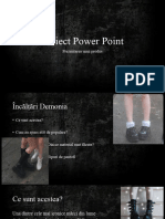 Proiect Power Point