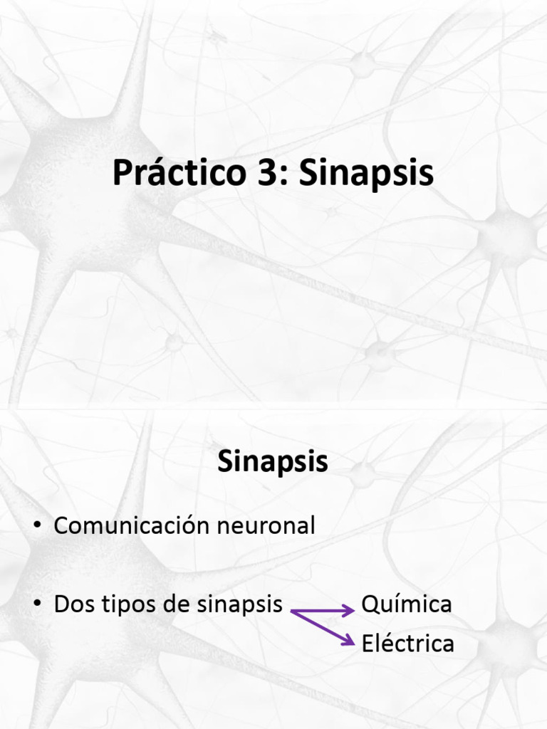 Tipos de Sinapsis: Química y Eléctrica | PDF | Sinapsis | Potencial de ...