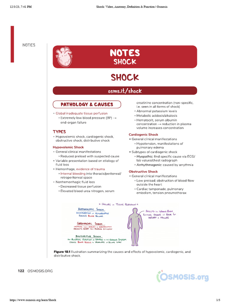 Shock - Video, Anatomy, Definition & Function - Osmosis | PDF | Science ...