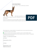 gENERADOR ULTRASONIDOS PARA PERROS