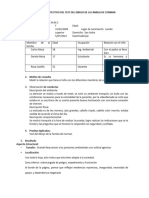 INFORME - Test de La Familia - Evaluada