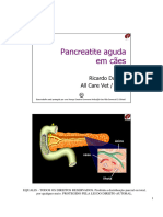 Pancreatite Aguda em Cães - 02 Slide
