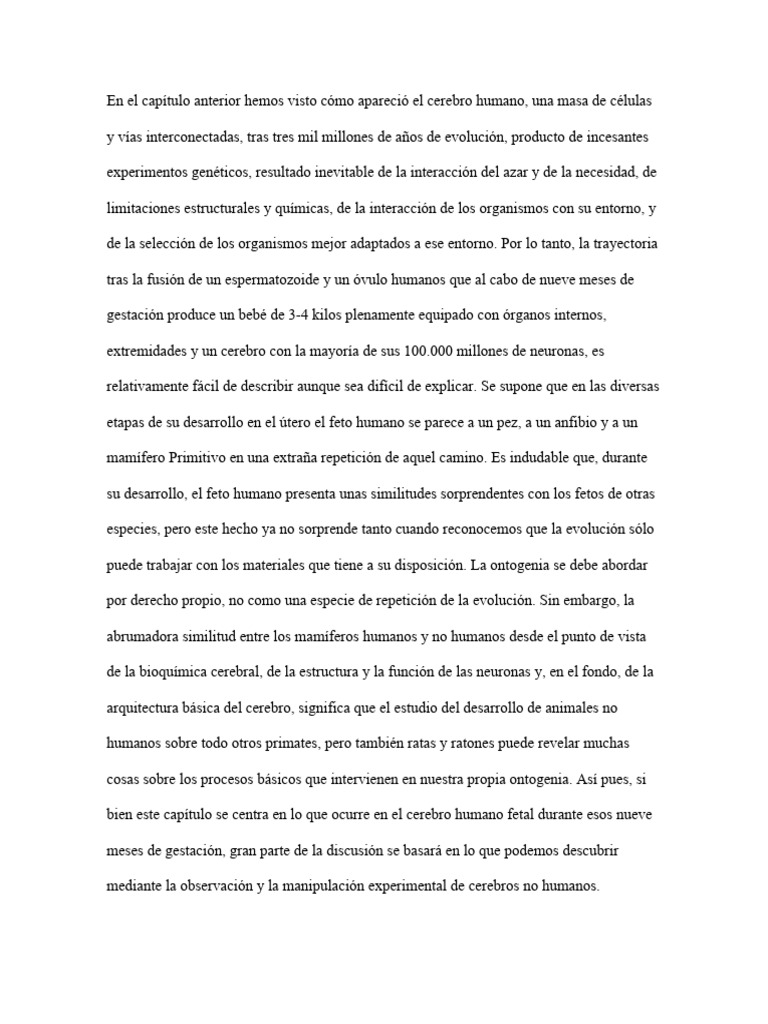 Resumen Neuro | PDF | Sinapsis | Neurona