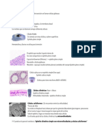 Histologia