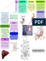 Grafico Mapa Conceptual Creativo Multicolor