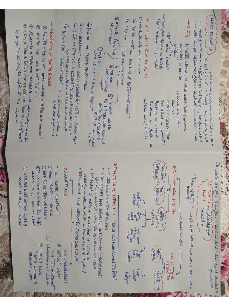 Chapter 1 Production Pdf