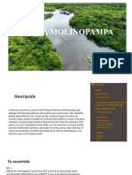 Molinopampa