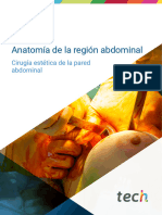 Anatomía de La Región Abdominal