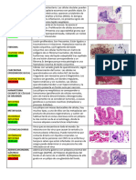 Examen Visu 2t