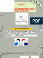 Reapso Tema 1 Captación y Transformación de La Energía de La Célula