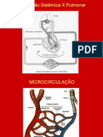 Coração - Ed Fis