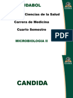 Candida Histoplasma