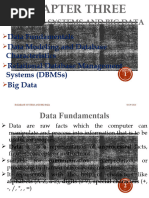 Chapter 3 Database Systems and Big Data