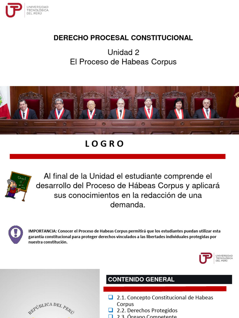 Proceso de Habeas Corpus: Guía Completa | PDF | Habeas corpus | Crimen ...