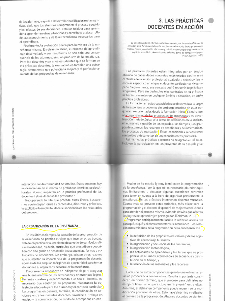 Davini La Formacion en La Practica Docente Cap 3 | PDF