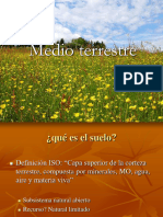 Medio Terrestre