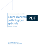 Lésions de L'app Resp LOUNAS. Word 2023.2024