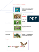 Cadena Alimenticia (Materia)