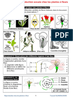 documents-tc-sc-unit2-1