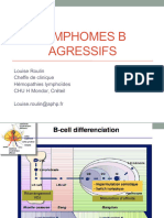 Lymphomes Agressifs Socle