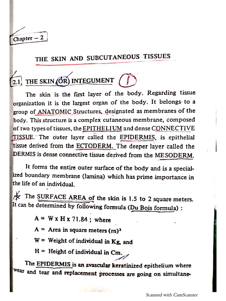 WHAT IS ANATOMY PDF visual data 3