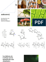 Hidratos de Carbono
