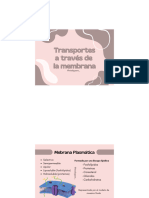 Transportes Membrana PDF