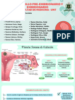 Periodo Embrionario - B2