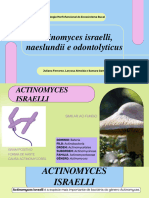 Actinomyces Odontolyticus