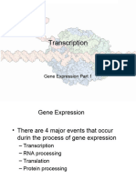 12a Transcription