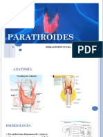 Paratiroides 2021