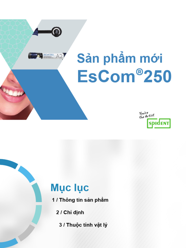 EsCom250 Product Profile - FINAL 1 | PDF