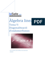 Algebra Lineal - Tema V Diagonalitzacio Endomorfismes