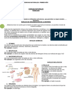 Materia Primer A-O