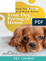 Everything You Never Wanted To Know About Your Dog Peeing in The House
