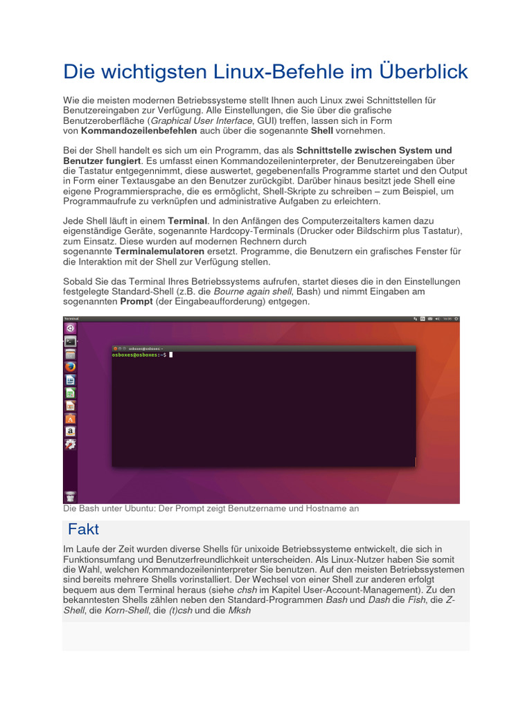 D 01-01-0040 Linux Befehle Terminal Kommandos Im Ueberblick | PDF