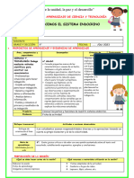 Ses-Juev - Cyt-Conocemos El Sistema Endocrino