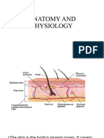 1.anatomy & Physiology SKIN